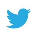 twitter_logo_s.png.5cd72190070ee0e7c72a3823e85e8733.png